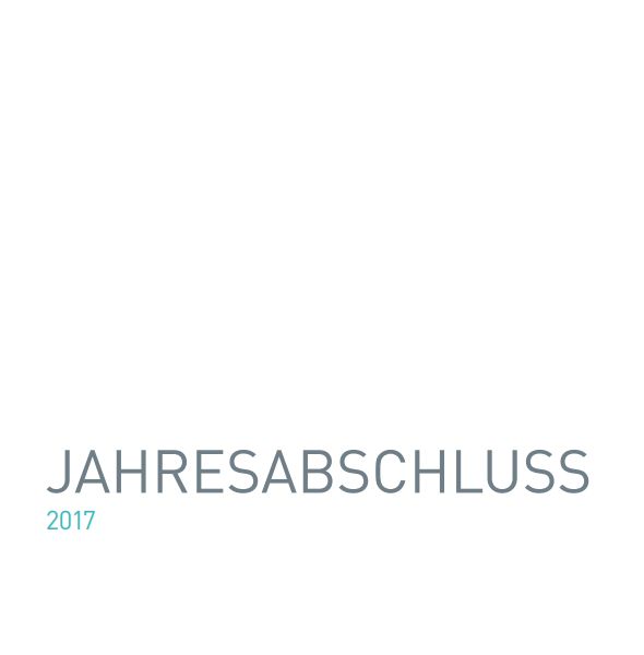 AIT Jahresabschluss 2017