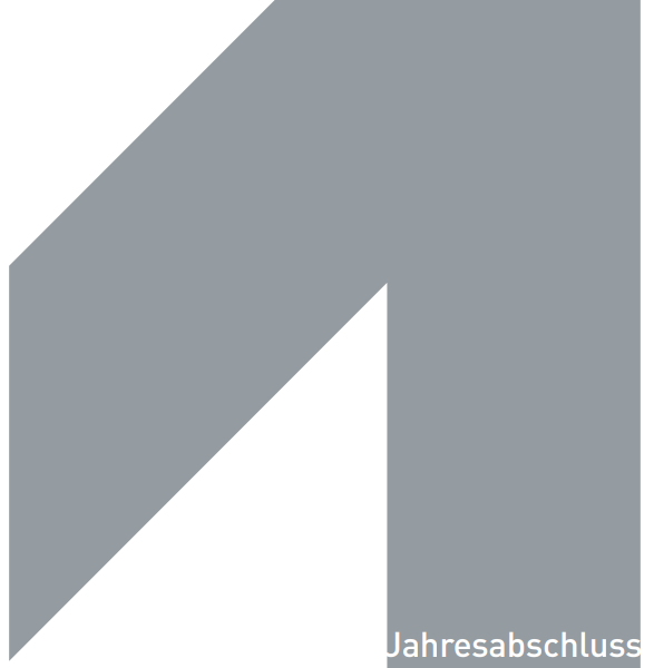 AIT Jahresabschluss 2013